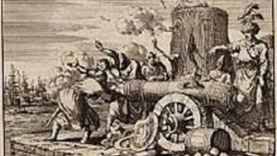 حادثة المروحة واحتلال الجزائر